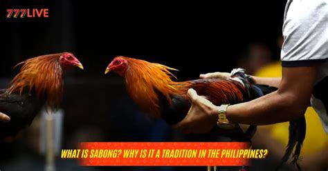 sabong origins
